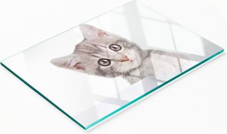 OEM Tabla De Cocina De Vidrio Templado Con Gr&aacute;ficos Decorativos De Gato Gris, 80x52 Cm