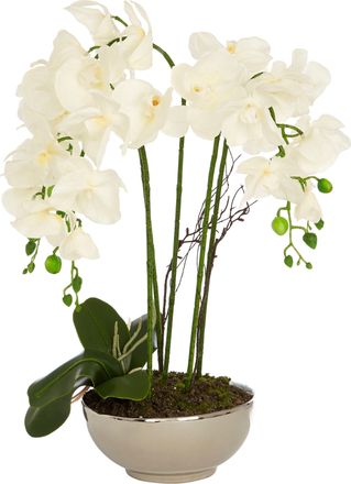 Premier Housewares Fiori Artificial flowers Fiori White Orchid Plant in Round Pot