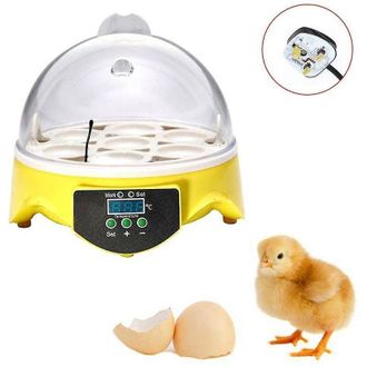 OEM Incubadora De Huevos De Aves De Corral Rotatoria Y Autom&aacute;tica, 7 Piezas, Incubadora De Aves De Corral Con Temperatura Controlada