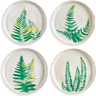 Napa Home & Garden 8.5 Fern Study Dinner Plates Set of 4 in Off-White at Nordstrom