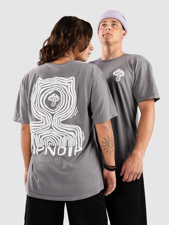 Ripndip A Bird T-Shirt grau