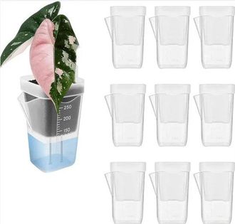 OEM Macetas, Juego De Mini Macetas Transparentes, 10 Piezas, Pl&aacute;stico Reciclado, Autorriego, Compactas Y Duraderas, 6 X 4,8 X 9,5 Cm