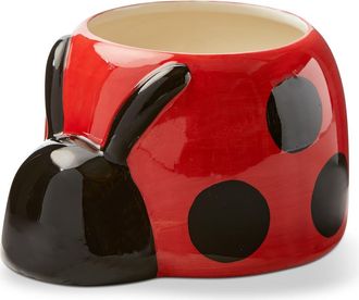 Tag Ladybug 4 Planter Red Multi Earthenware Spring at Nordstrom