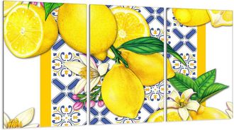 OEM Placa Protectora De Vidrio Para Estufa 3x30x52