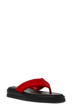 Steve Madden Bella Thong Platform Slide Sandal in Red Suede at Nordstrom, Size 8.5
