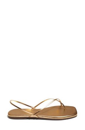 Tkees Millie Slingback Sandal in Blink at Nordstrom, Size 11