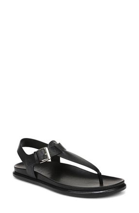 Naturalizer Fab Sandal in Black at Nordstrom, Size 6.5
