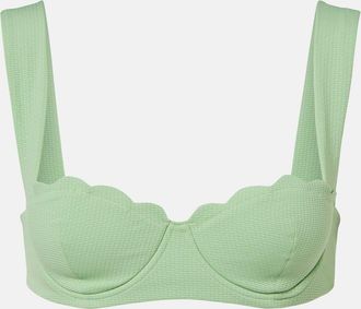 Marysia Swim North scalloped bikini top