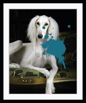 Queence Bild »Hund mit Farbklecks« Haustiere Humor Hund Hunde Hundebilder HD Premium Poster-Druck inkl. Holzrahmen