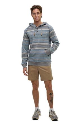 tentree Woodrow Hoodie in Graphite Multi Stripe at Nordstrom, Size X-Large