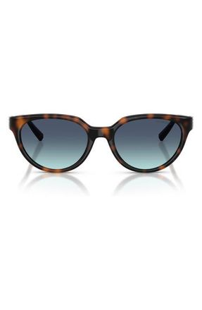 Tiffany & Co. 55mm Gradient Cat Eye Sunglasses in Havana /Azure Gradient Blue at Nordstrom