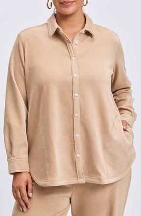 Foxcroft Maddy Plush Corduroy Button-Up Shirt in Khaki at Nordstrom Rack, Size 2X