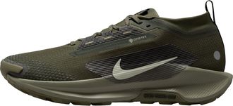 Nike Pegasus Trail 5 Gore-Tex Sequoia Cargo Khaki HQ7494-300