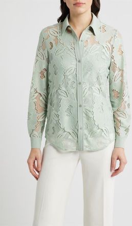 Anne Klein Lace Button-Up Shirt in Soft Aloe at Nordstrom, Size Large