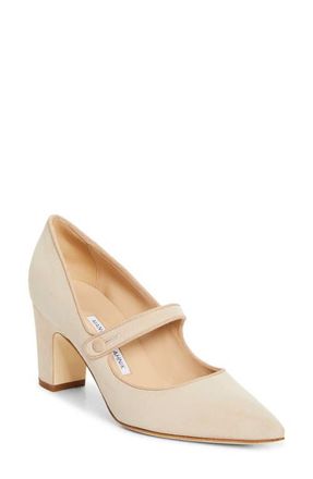 Manolo Blahnik Campariba Pointed Toe Mary Jane Pump in Beige at Nordstrom, Size 10.5Us