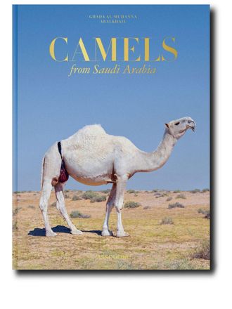 ASSOULINE Libro Camels from Saudi Arabia - Blu