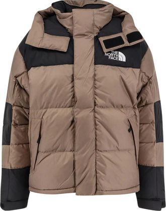 The North Face Hombre, Chaquetas, Marrón, Talla: XL