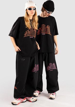 ADIDAS TERREX Shmoofoil Broek zwart