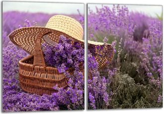 OEM Placa Protectora De Vidrio Para Estufa 2x40x52 Lavanda