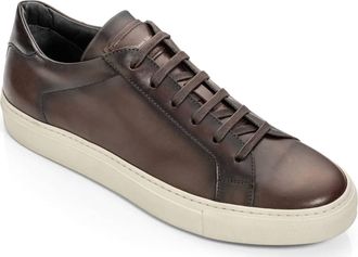 To Boot New York Mens Pescara Sneaker In Dark Brown Calf