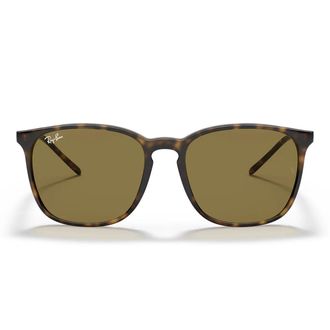 Ray-Ban Sunglasses Rb4387 710/73 Brown/Brown Unisex