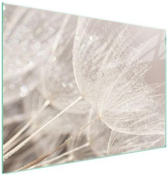 OEM Placa Protectora De Vidrio Para Estufa 70x52 Flor