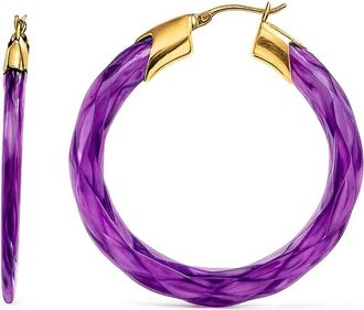 Gold & Honey Womens Swirl Twist Lucite Birthstone Hoop Earrings In February - Amethyst