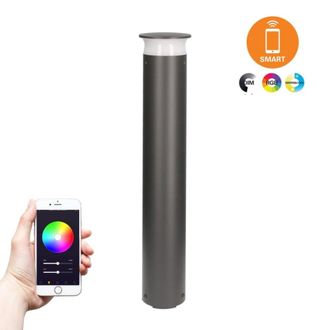 Forlight Baliza de jard&iacute;n aluminio gris 10x10x60 cm