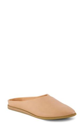 Toms Amelia Mule in Light/Pastel Brown at Nordstrom, Size 6.5
