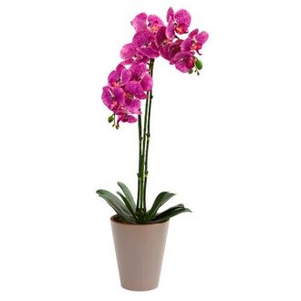 Nearly Natural 24-in Speckled Phalaenopsis Orchid Artificial Arrangement at Nordstrom