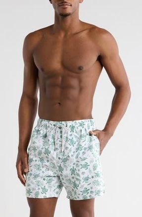 Vintage Summer Swimwear Turtle Print Swim Shorts in White at Nordstrom Rack, Size Xx-Large