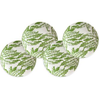 Caskata Freya Small Plates - Porcelain - Set 4 in Green at Nordstrom
