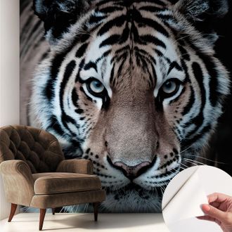 Tulup Carta Da Parati Autoadesiva - Fotomurale Adesivo - Design Elegante - Stile Moderno - Ritratto Di Tigre 250x250 Cm