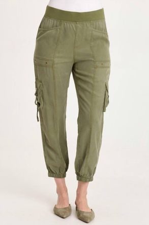 Xcvi Olexa Twill Banded Cargo Pant In Espalier Pigment