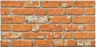 vidaXL Paneles De Pared 10 Uds. 100 X 50 Cm Ladrillo Espuma Eps Vidaxl