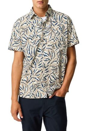 Rodd & Gunn Palmbrook Short Sleeve Button-Up Shirt in Natural at Nordstrom, Size Xxx-Large