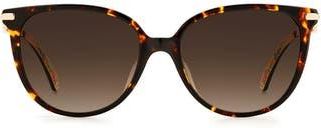 Kate Spade New York Kristina Sunglasses in Havana at Nordstrom Rack