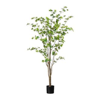 Schubiger M&ouml;bel Kunstpflanze Louisiana-Baum im Kunststofftopf, Gr&uuml;n H: 180 cm