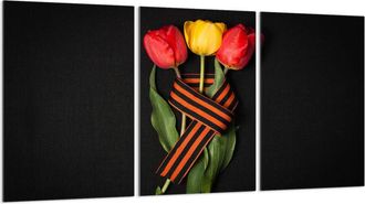 OEM Placa Protectora De Vidrio Para Estufa 3x30x52