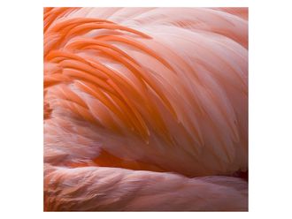 Schubiger M&ouml;bel Bildsystem Pink Beauty