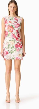 Elliatt Roselle Shift Mini Dress In Pink