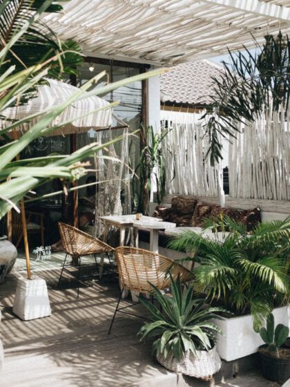 Interiortrend „Biophilic“: Was das bedeutet und wie du ihn in dein Zuhause bringst