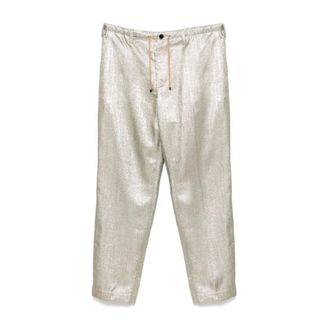 Dries Van Noten Straight Trousers, male, Gray, Size: S Penny Straight Trousers