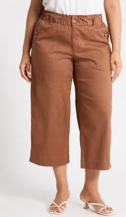 Democracy Button Pocket Crop Wide Leg Pants in Raw Umber at Nordstrom Rack, Size 14W