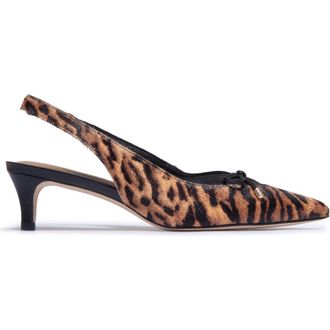 Bernardo Misha Haircalf Kitten Heel Pump in Gato at Nordstrom, Size 8.5