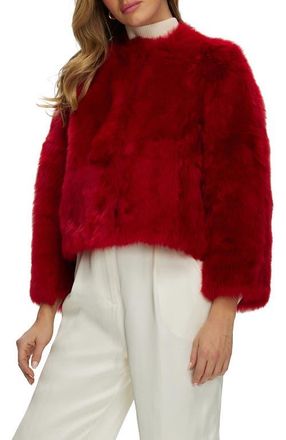 Gorski Collarless Genuine Shearling Short Jacket, Reversible in Red at Nordstrom, Size X-Small