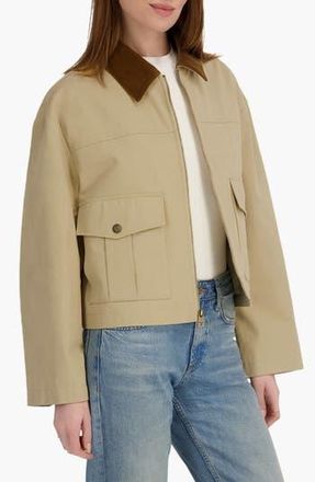 Elie Tahari Deia Corduroy Collar Cotton Barn Jacket in Ecru at Nordstrom Rack, Size X-Large