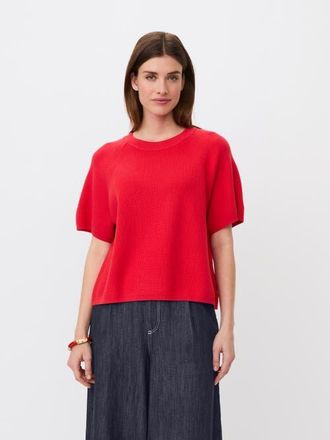 Masai MaFokimia Short Sleeve Knit Blouse in Poinsettia at Nordstrom, Size Xx-Large