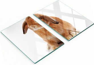 OEM Taglieri Da Cucina In Vetro Con Grafica Di Coniglio Rosso, 2x40x52 Cm