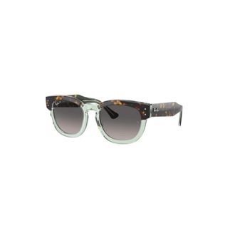 Ray-Ban unisex, Accessoires, Bruin, Maat: 53 MM